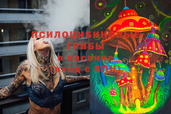 тгк Наволоки