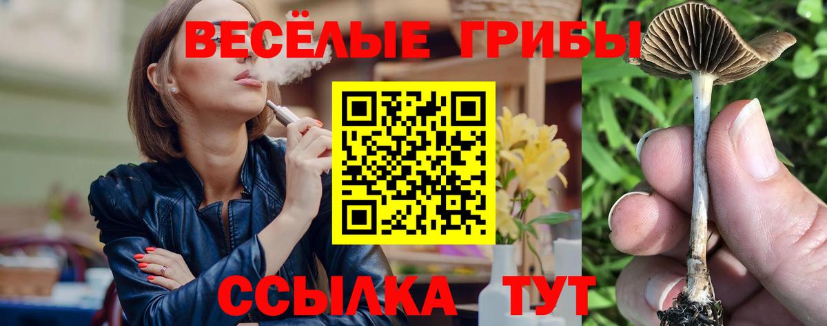 Галлюциногенные грибы GOLDEN TEACHER  Галлюциногенные грибы MAGIC MUSHROOMS  Вход с VPN  Чистополь 
