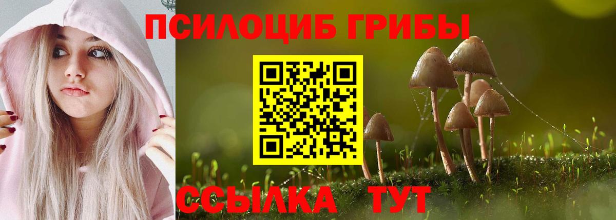 Галлюциногенные грибы Magic Shrooms Чистополь
